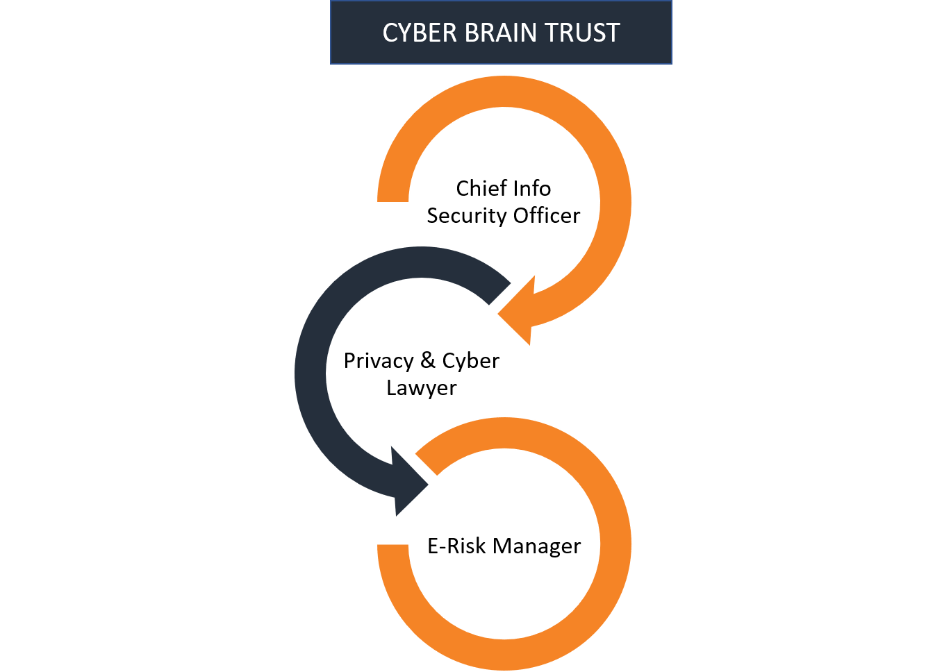 explanation of Cyber Brain Trust
